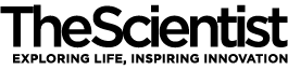 Application Loader Logo