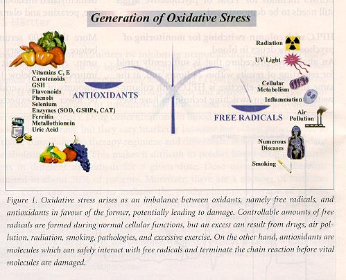 Generation of Oxidative stress